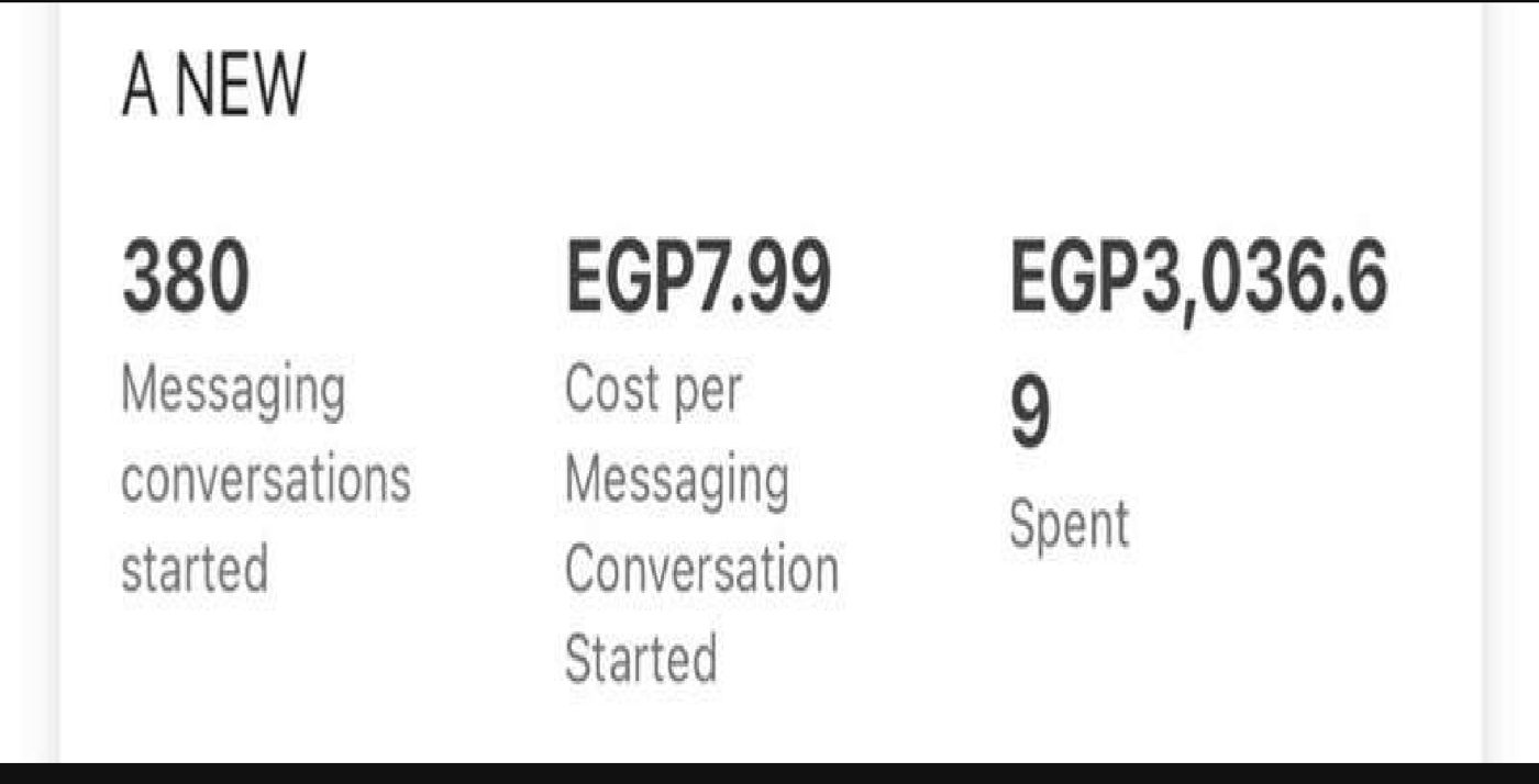 Meta messaging campaign results